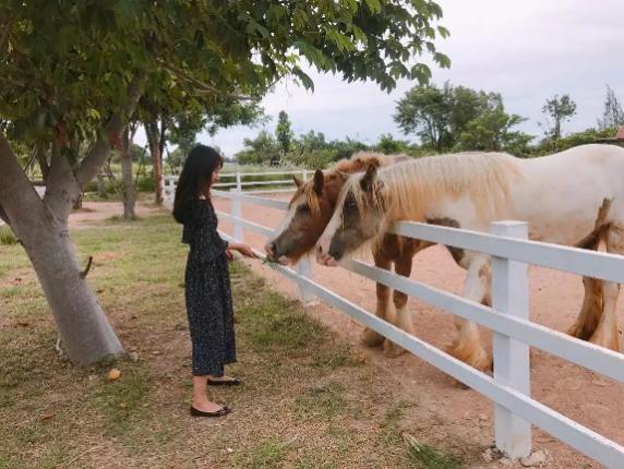 曼谷旅游攻略，泰国旅游哪里好玩（泰国超全旅行攻略<汇总篇>）