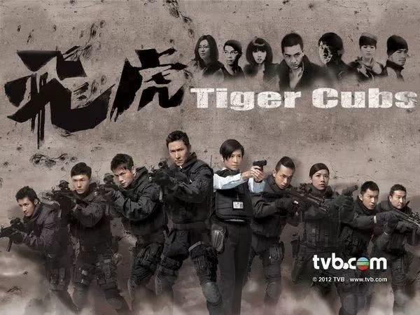 sdu是什么意思，半径是什么意思（TVB经典职业剧盘点第四回）
