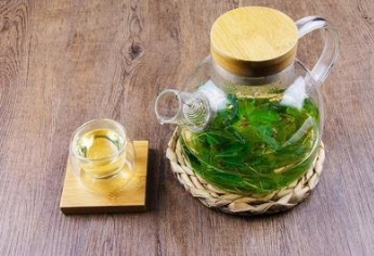 桑叶有什么功效和作用，桑叶的功效与作用有哪些（居然还有这种功能）