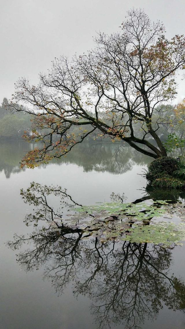 常见的几种摄影构图方式，10大构图法总有一款适合你