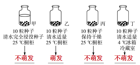 胚珠的发育和胚囊的形成总结，济南版生物八年级上册知识点总结