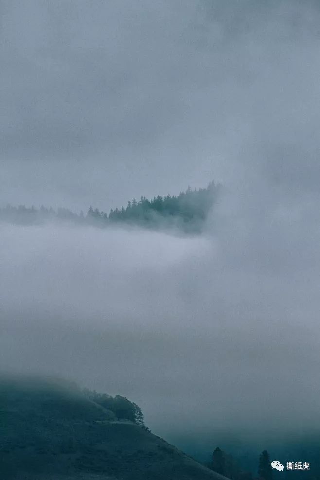 青岛华青旅行社（旅行KOL黑产流量大起底）