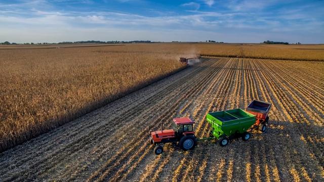 叙利亚在哪里，叙利亚是哪个国家（你不知道的国家冷知识）