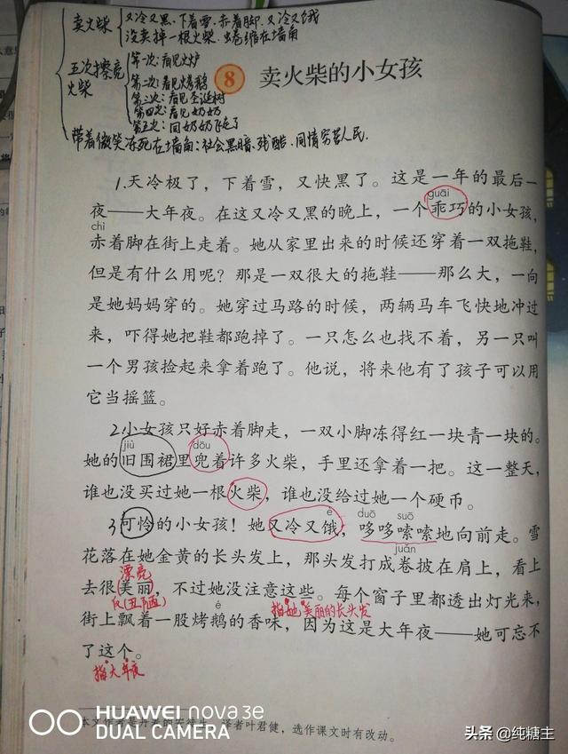 卖火柴的小女孩主要内容，卖火柴的小女孩故事主要讲了什么（《卖火柴的小女孩》学习笔记）