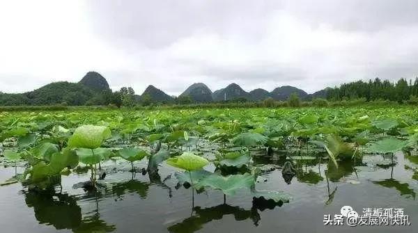 云南普者黑旅游攻略，云南省普者黑风景区旅游攻略（一处鲜为人知的神秘旅游景点——普者黑攻略）