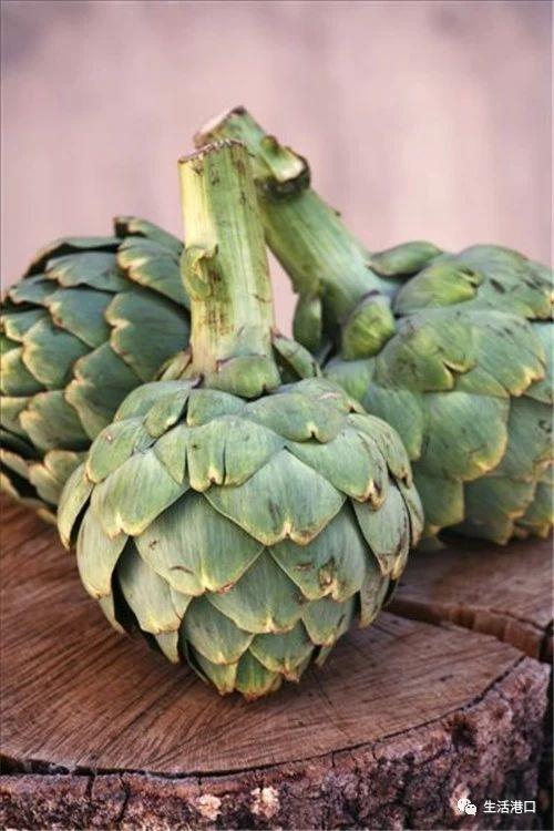 洋蓟是什么东西，洋蓟怎么做好吃（生活小常识：什么是洋蓟）