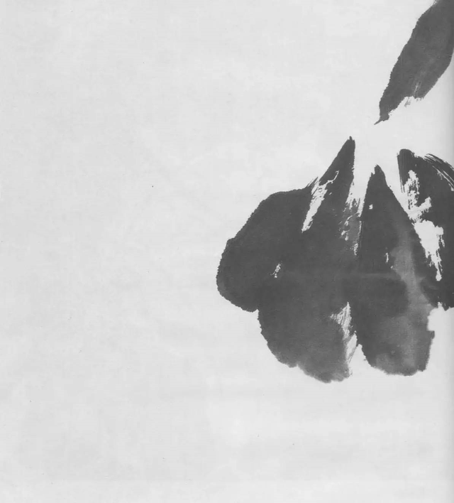 水墨画初学者入门教程，水墨画入门教程（图文教程：画水墨荷花）