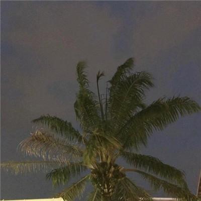 意境系列头像/2021系列头像微信，意境系列头像/2021系列头像（意境微信最吉利的图片好看头像）