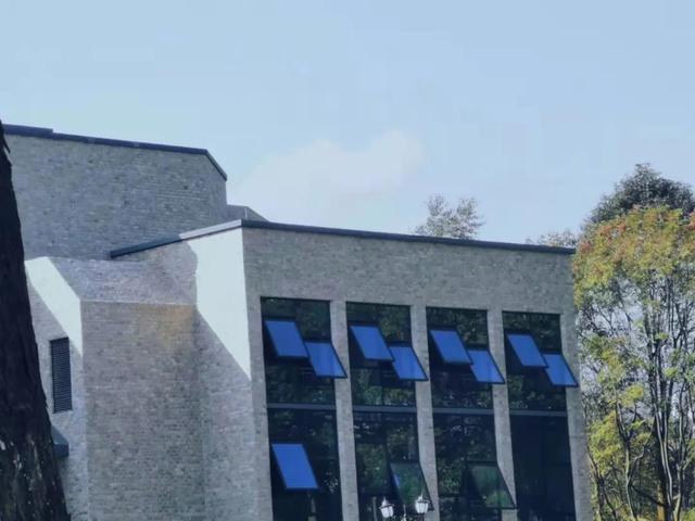 成都东软信息技术学院，成都东软学院是一本还是二本（这里是成都东软学院）