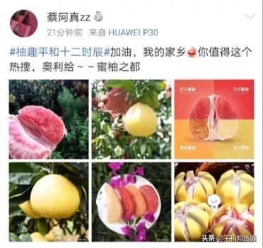 蜜柚app直播下载，2020蜜柚直播交友平台官网手机最新版下载安装v7.2.4（第十六届平和蜜柚节“柚趣平和•寻味十二时辰”直播日圆满收官）