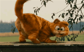 咖啡猫经典语录，咖啡语录经典语录（来自加菲猫的18条经典语录,还挺有哲理呢）