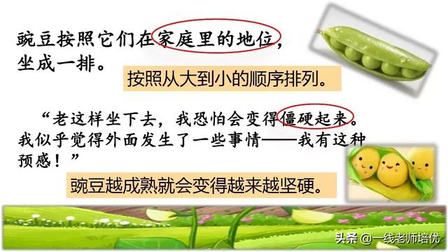 才华横溢的近义词，形容聪明才华横溢的成语有哪些（部编四年级上第5课《一个豆荚里的五粒豆》重点知识+课文讲解）