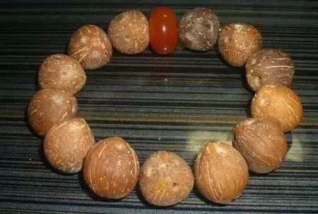 佩戴紫金鼠菩提的禁忌，紫金鼠可以直接佩戴吗（最招财的手串居然是一串“老鼠”）