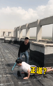 树枝666是什么梗，小黑子树枝666是什么梗（是一场B站网友的群体狂欢）