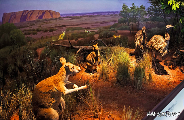 手不释卷的动物，手足之情的动物是什么生肖（世传王安石是獾转世投胎）