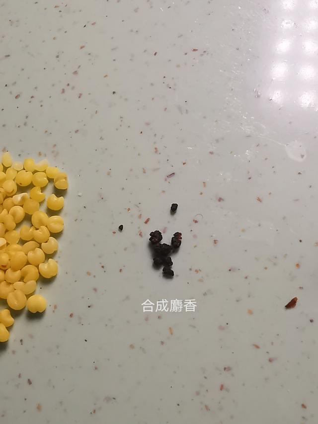 麝香是什么动物身上的哪个部位，正宗麝香多少钱一克（麝香直接闻起来是什么味道）