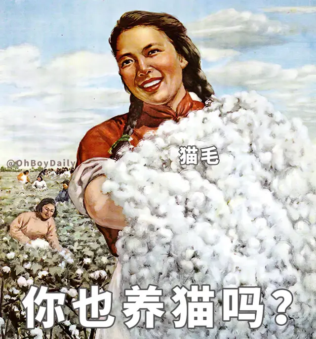 被表白了怎么回复，被告白了怎么幽默回复答应（在微信上被表白）