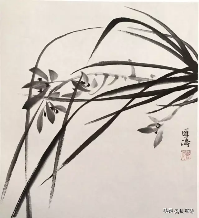 草的简笔画怎么画，猪笼草的简笔画怎么画（兰草的画法）