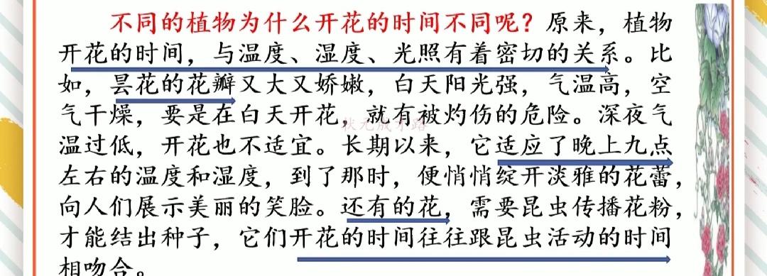 修改病句添加符号怎么画三年级（三年级用修改符号修改的句子）