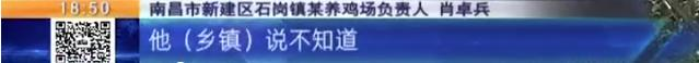养鸡场投资多少钱，养1000只鸡需投资多少（男子投资200万元的养鸡场）
