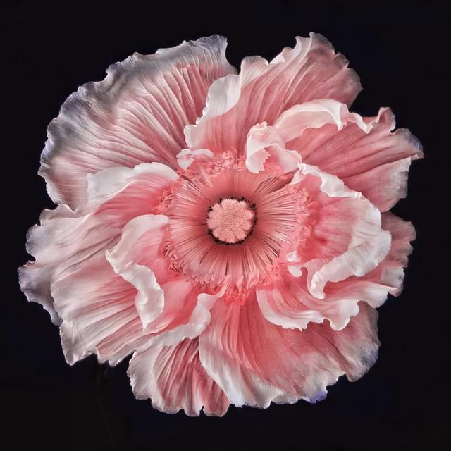 安慰闺蜜的暖心话，安慰闺蜜的暖心句子（就是时常用这十句话安慰自己）