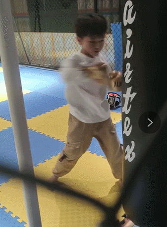 散打和自由搏击哪个更实用，自由搏击和散打哪个杀伤力大（搏击、武术、散打、跆拳道）