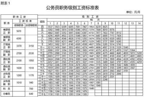 公务员职务职级，公务员职级对应的级别（公务员职务级别工资标准表）
