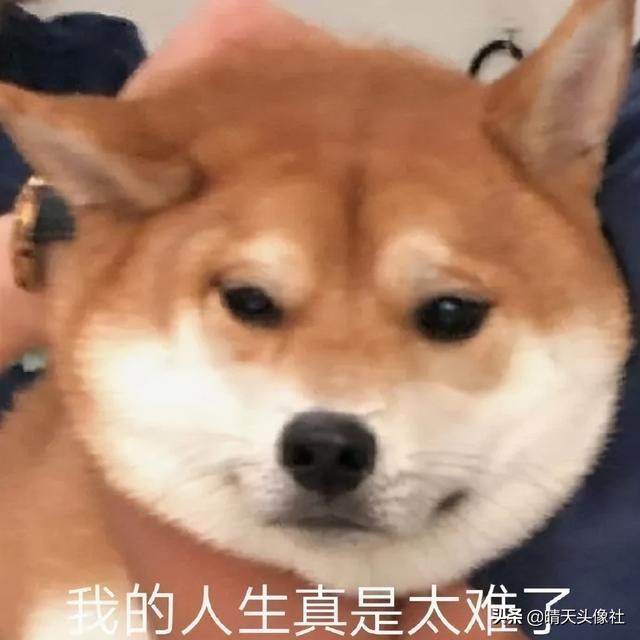 表情包啊啊啊，微信头像，表情包啊啊啊（表情包 ， 女孩就要酷一点）