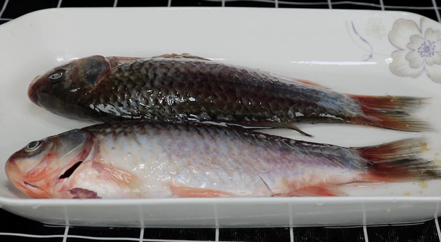 鱼肉保鲜技巧，鱼肉储存方法（不管解冻什么鱼）