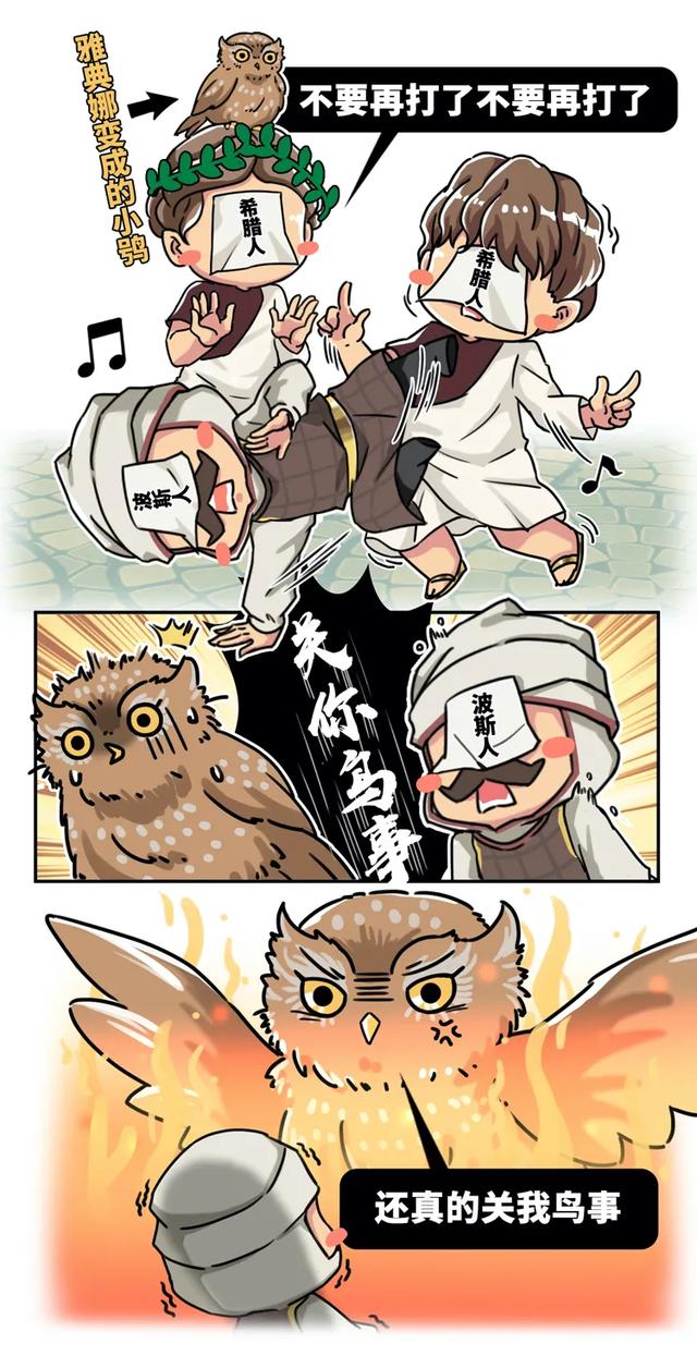 养雪鸮犯法吗，宠物雪貂多少钱一只（猫头鹰的构造原来这么奇葩）