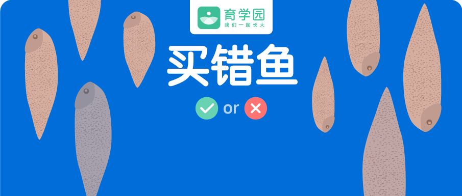 巴沙鱼被曝含激素引关注，消费者需警惕潜在健康风险与市场规范问题