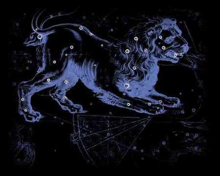 狮子男拿不住的女人，狮子男放不下的女人（具有领导气质的狮子）