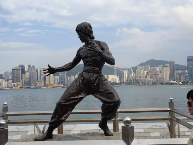 梦见螳螂什么寓意，梦见螳螂什么寓意呢（为什么李小龙的妻子在李小龙去世后）