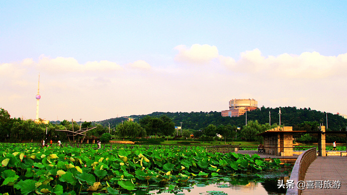 江西撫州十大景點有哪些?自駕遊(南昌市旅遊攻略必去景點) | 生活號