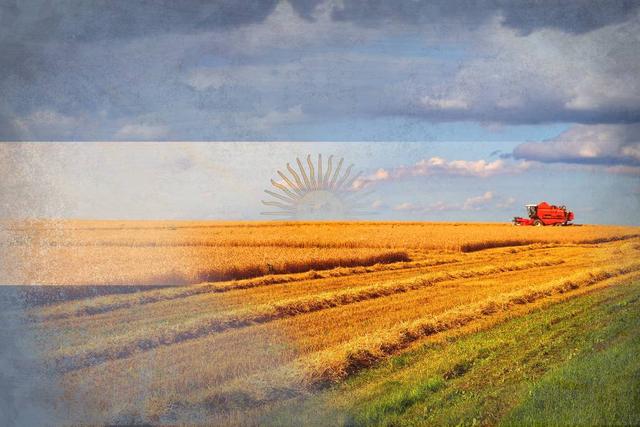 阿根廷为什么叫潘帕斯雄鹰，阿根廷帕米尔雄鹰（潘帕斯雄鹰之殇）