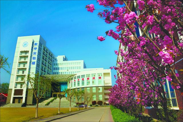 漯河属于哪个省，漯河市是哪个省（哪个城市更有发展空间）