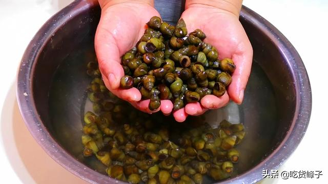 田螺怎么洗最快最干净，小窍门之——田螺怎么洗最快最干净（保证螺蛳吐沙彻底又干净）