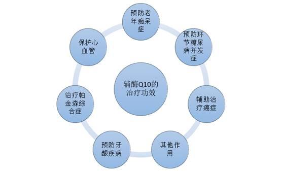 老人葵的市场行情分析，老人葵种植技术要点（2019年中国辅酶Q10行业现状）