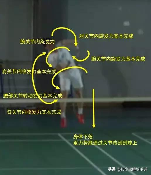 羽毛球发力技巧，羽毛球的正确发力姿势（学会这5种发力方式，让你）
