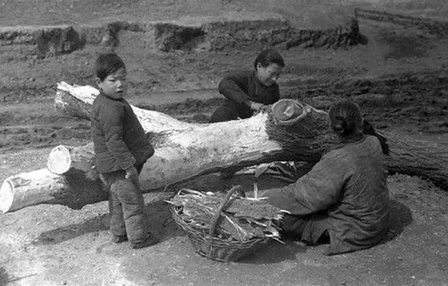河南蝗灾发生在哪一年，河南蝗灾死了多少人（大饥荒中的汤恩伯到底有多狠）