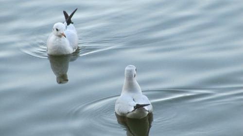 什么叫爱一个人呢，什么叫做真正爱一个人（什么是爱？爱一个人该怎么做）