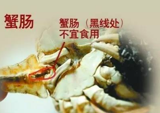 螃蟹蒸几分钟啊，螃蟹一般蒸几分钟合适（教你正确的做法和吃法）