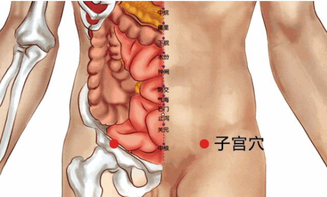 鱼腰的准确位置和作用，个个都是穴位学中的高手