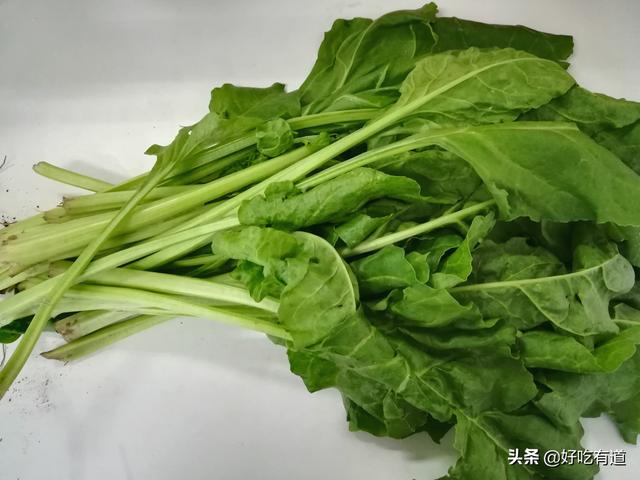 根达菜叶子怎么做好吃，根达菜叶子怎么做好吃的（这个菜自带咸味）
