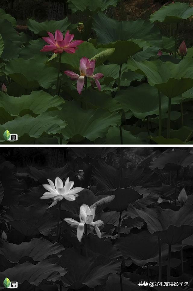 如何将照片制作黑白剪影的效果，照片怎么做成黑白剪影（如何用snapseed将手机照片制作成为图中图的二次曝光剪影效果）