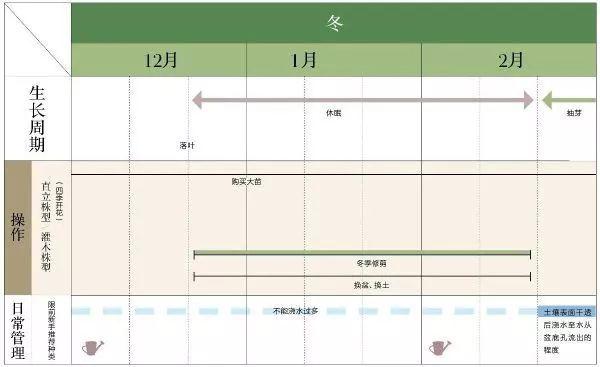 玫瑰月季花养殖方法，玫瑰月季的养殖方法（实用家庭玫瑰、月季种植新手入门养护术）