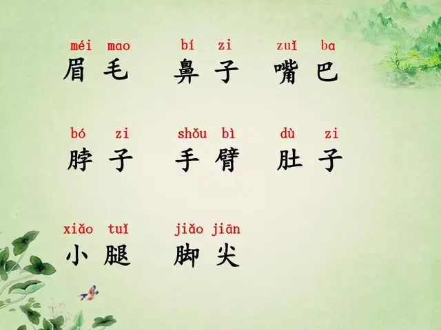 据说的近义词是什么，含有近义词的四字词语（部编版一年级下册《语文园地四》知识点+图文讲解）