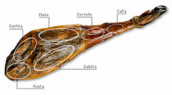 西班牙火腿是什么动物的腿，西班牙火腿百科（带你认识世界上最好吃的火腿）