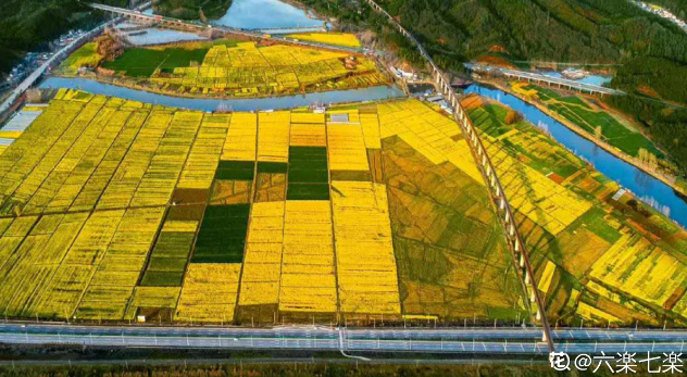 欲钱去树上找一找，欲钱去树上找一找是什么生肖（路过花瓣都能落头上）