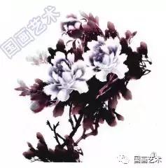 牡丹画法的12种步骤，钛白、藤黄、朱磦、颜料准备好